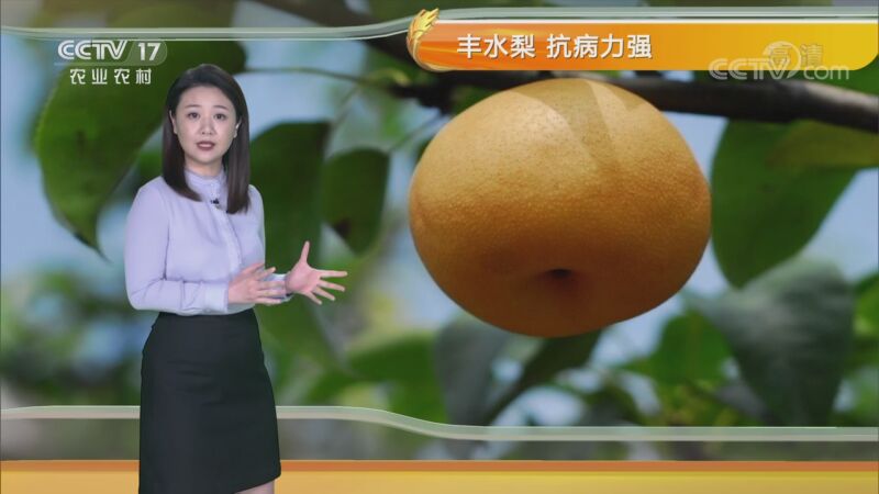 农业气象 20200829 09:20