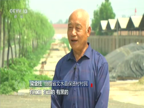 焦点访谈 20200815 践行“两山”理念 推动绿色发展