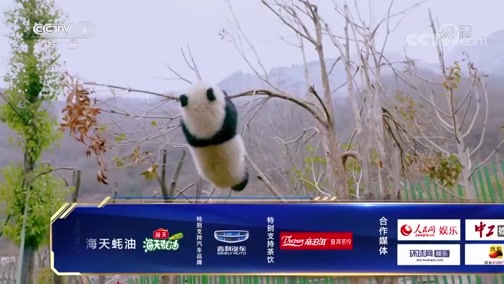 挑战不可能之加油中国 20190324