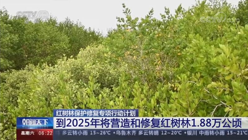 朝闻天下 20200829 06:00 今天视频