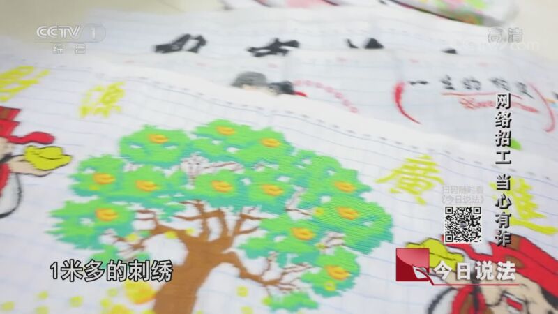 今日说法 20200828 网络招工 当心有诈