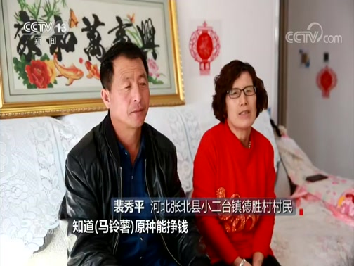 焦点访谈 20200816 牢记嘱托 脱贫攻坚 德胜村的“金蛋蛋”
