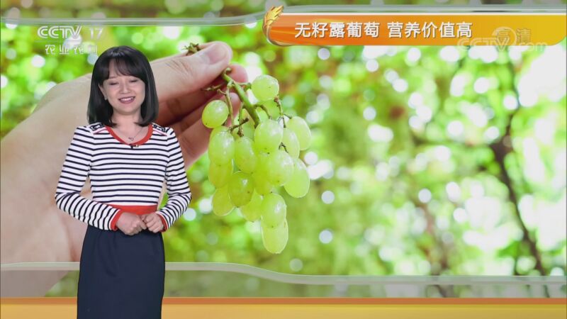 农业气象 20200828 09:27