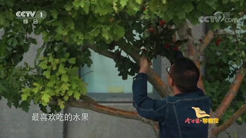 等着我寻亲最新一期 20200107