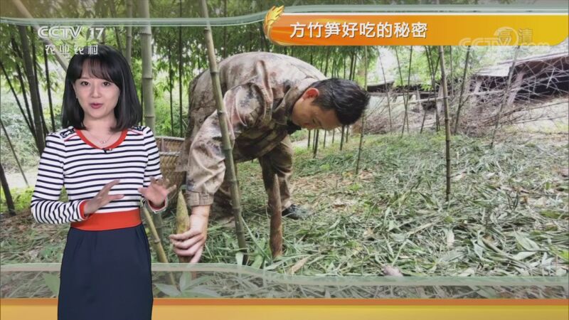 农业气象 20200828 11:27