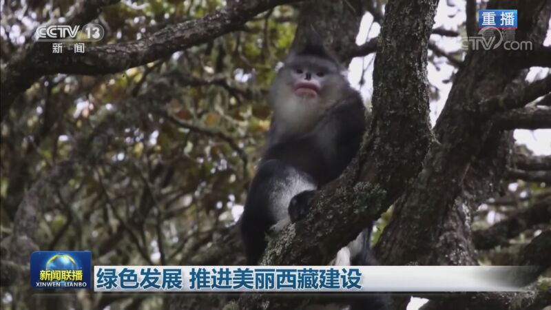 新闻联播 20200828 今天视频