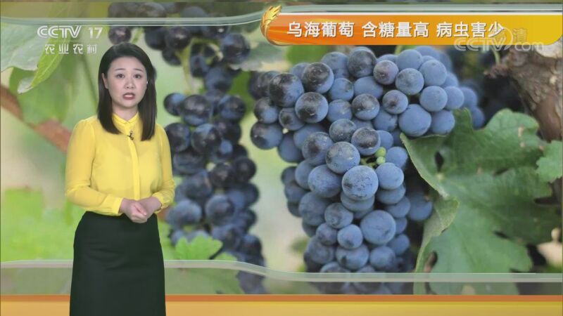 农业气象 20200827 11:27