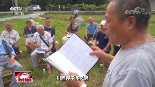 晚间新闻 20200817 今天视频