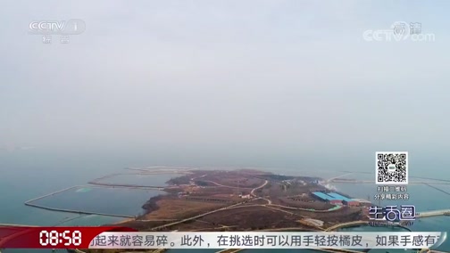 生活圈 20200117 今天视频