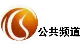 鹤岗电视台公共频道