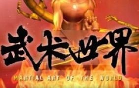 河南电视台武术世界频道