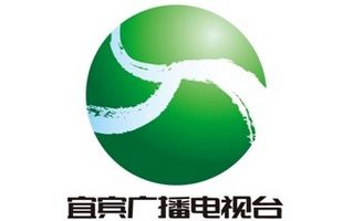 宜宾电视台公共生活频道