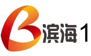 滨海电视台一套新闻综合频道