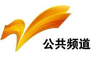 枣庄电视台公共频道
