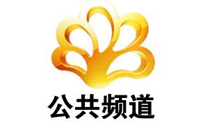 攀枝花电视台公共频道
