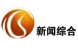鹤岗电视台新闻综合频道