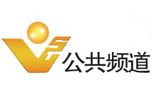 双鸭山电视台公共频道