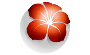 五莲电视台党建民生频道