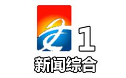 安康电视台一套新闻综合频道