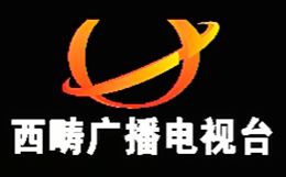 西畴电视台