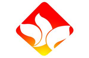 岳西电视台图文频道