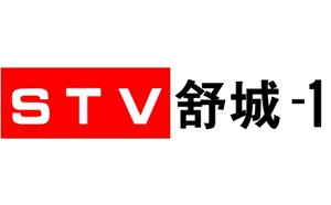 舒城电视台一套新闻综合频道